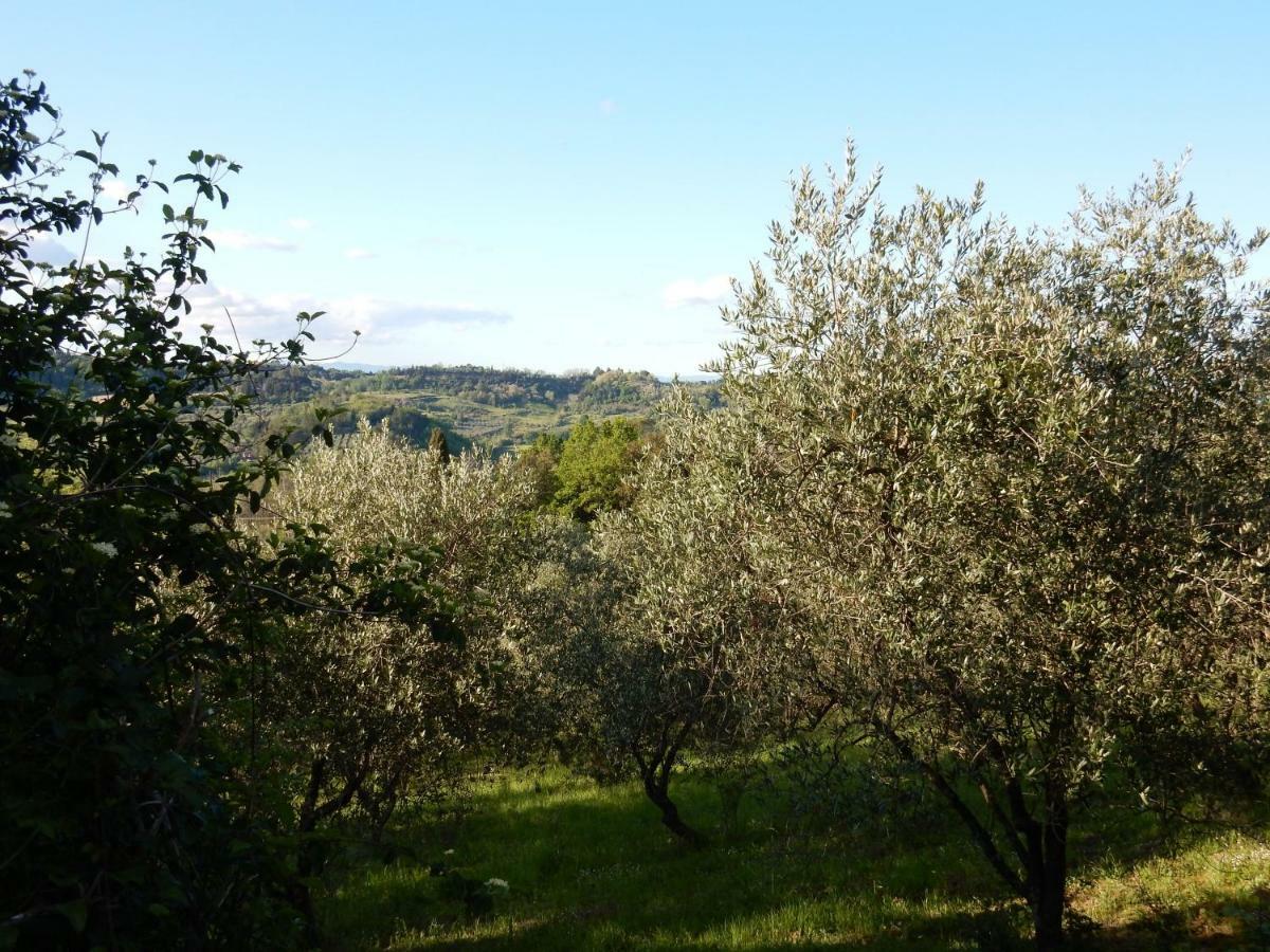 Agriturismo Anna-Rosa Legoli Esterno foto