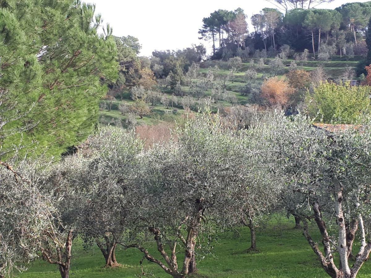 Agriturismo Anna-Rosa Legoli Esterno foto